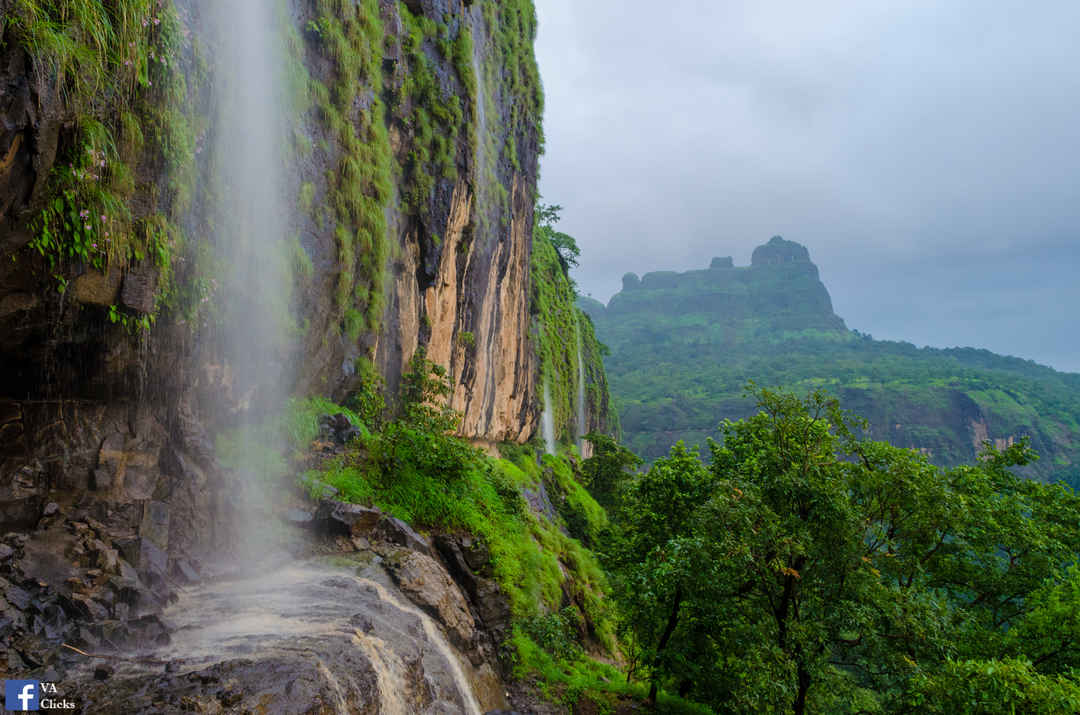 Bhimashankar Tour